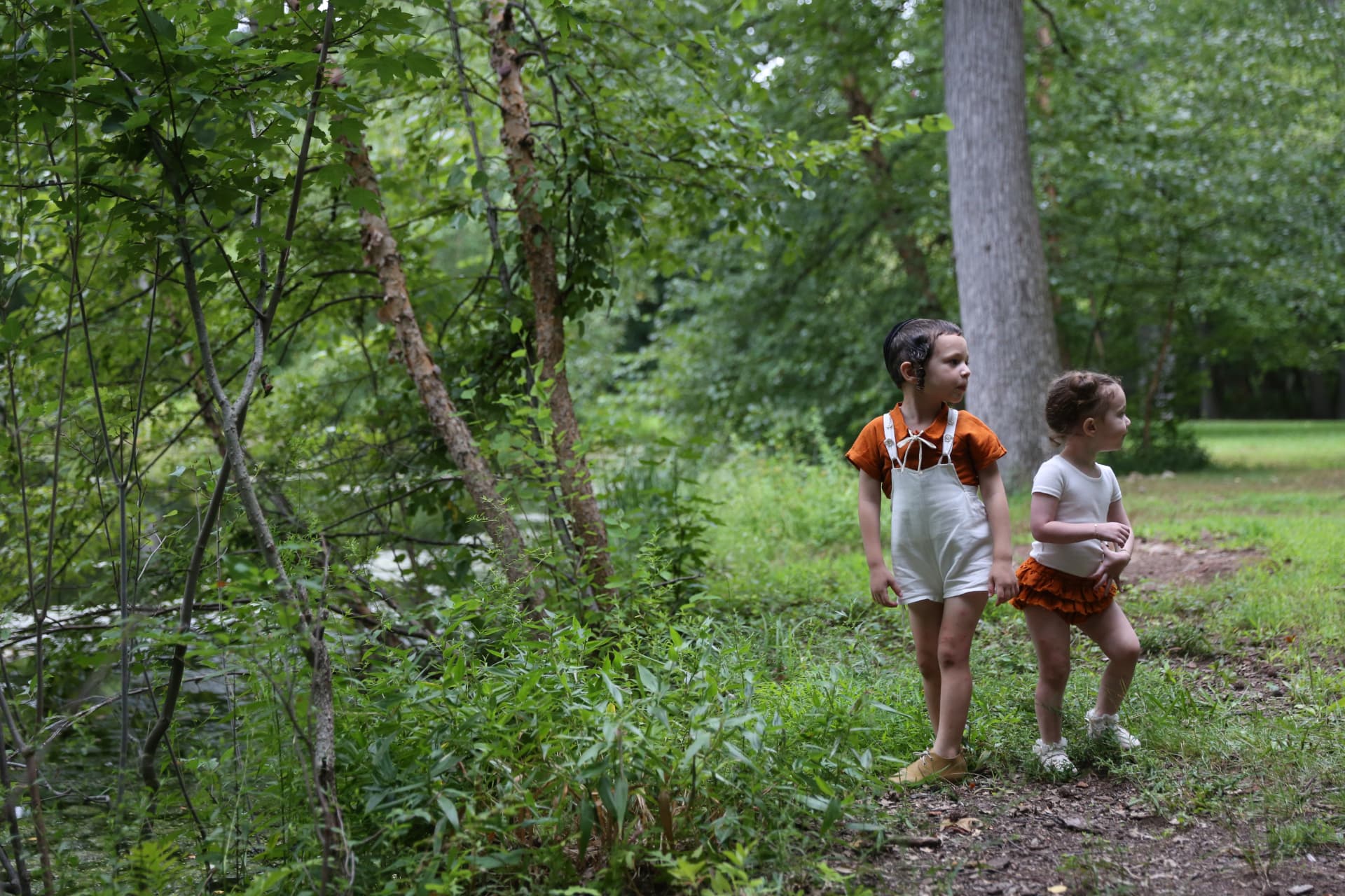 Two children walking hand in hand into the woods.