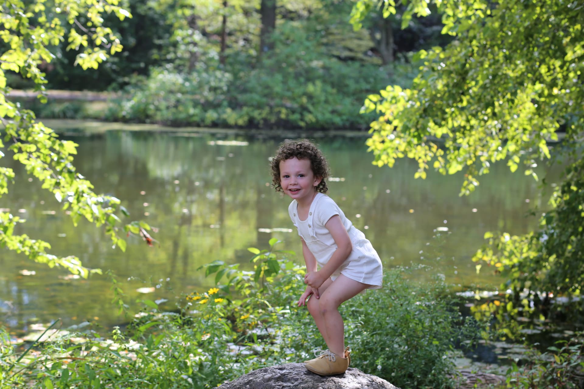 Perched on a rock by the pond.