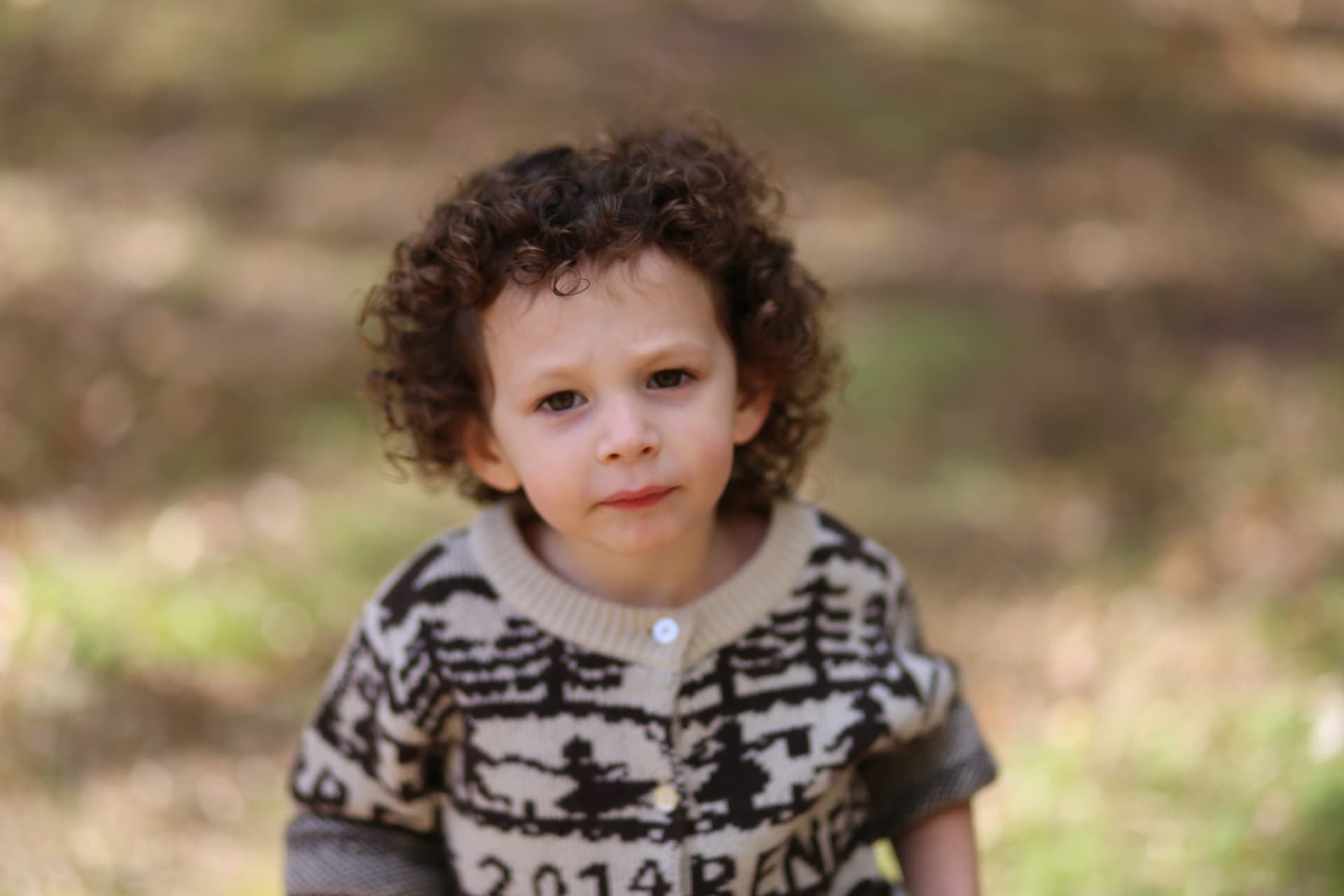 A boy in his patterned sweater among the trees.