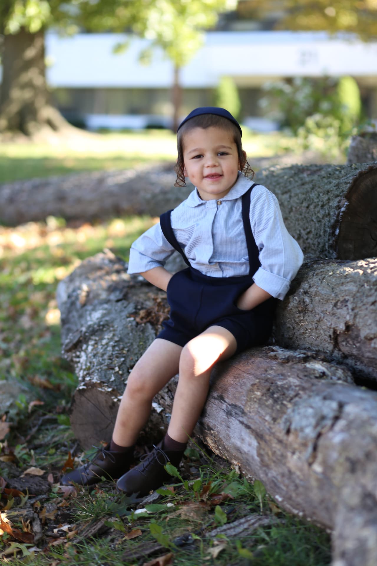 A boy in a kippah sitting on fallen logs, hands in his pockets.