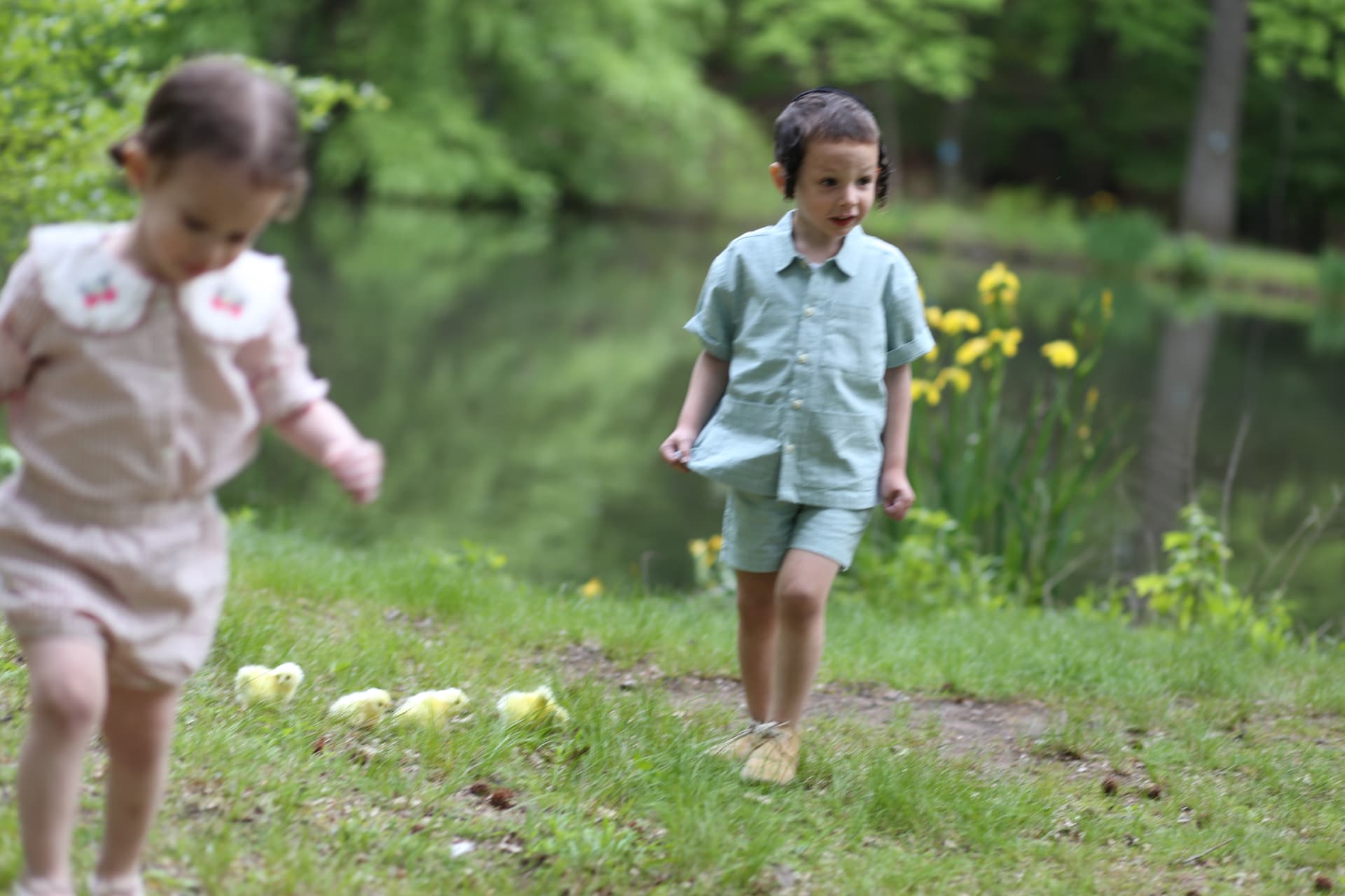 Brother and sister walking through the grass with baby chicks at their feet.
