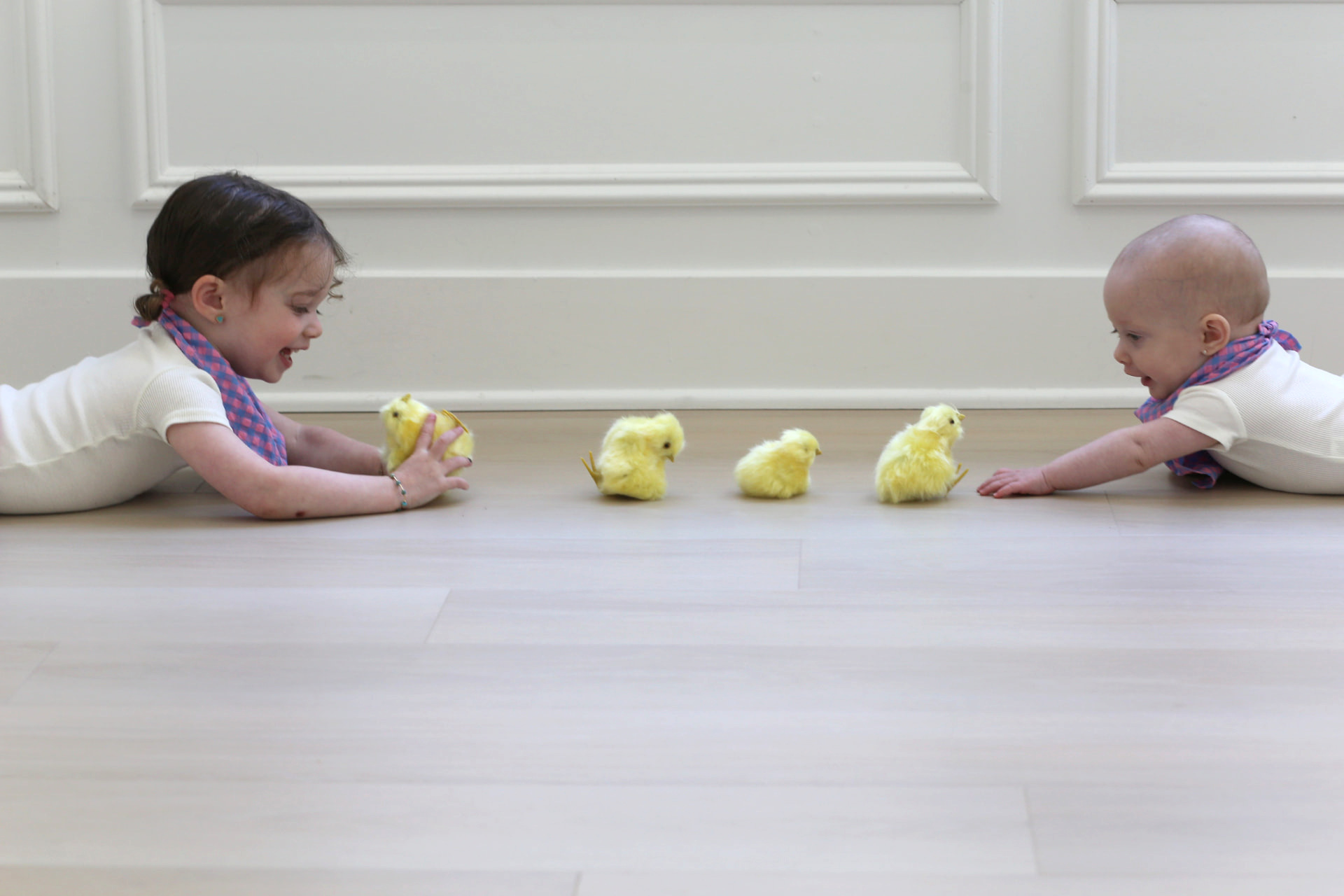A row of toy chicks between them.